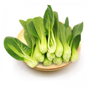 上海青 新鲜小油菜 600g 简装 新鲜蔬菜