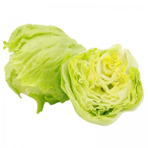云南新鲜球生菜 600g 简装 新鲜蔬菜